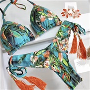 bikini occidental sty...