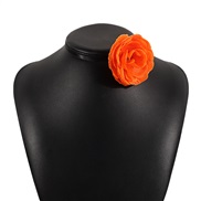 ( Orange)retro rosein...