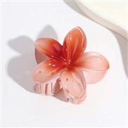 ( orange) flowersY flower claw occidental style retro color