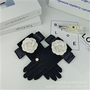 (Free Size )( blackF)Winter sheep velvet warm glove Korean style lady velvet warm mitten touch screen wool Pearl glove