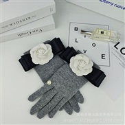 (Free Size )( grayF)Winter sheep velvet warm glove Korean style lady velvet warm mitten touch screen wool Pearl glove