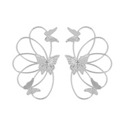 ( Silver) earrings ho...