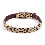 ( leopard print)Autum...