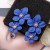creative Earring occidental style personality trend multicolor Double layer flowers ear stud brief sweet earrings