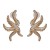 occidental style personality starfish big ear stud fashion woman all-Purpose more style crafts