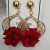 Europe and America earrings