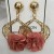 Europe and America earrings