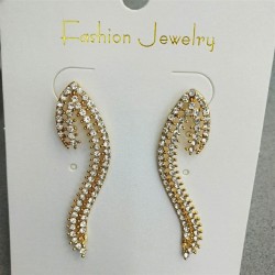 Europe and America earring