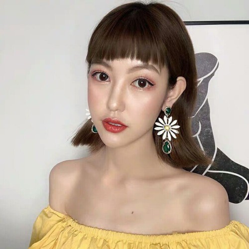 Europe and America earrins