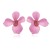 occidental style exaggerating Earring  fashion temperament flowers earrings  Alloy small fresh petal ear stud pe