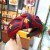 occidental style wind samll eadband pure color Cloth width eadband lady