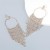 occidental style claw chain series Alloy diamond Rhinestone Round tassel earrings woman fashion style exaggeratin