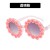  Rce nal sunglass occdental style sunglass ant-ultravolet Sunglasses