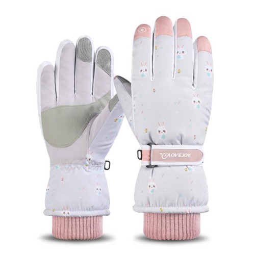 Winter glove skiing warm glove velvet thick velvet leather Non-slip wear-resisting touch screen gl