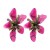 earrings occidental style personality brief Acrylic flowers retro wind ear stud earrings trend woman