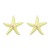 fashion trend summer day wind Alloy enamel starfish earrings woman occidental style exaggerating ear stud