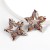 fashion trend super Alloy diamond Rhinestone star earrings woman occidental style personalityearrings