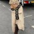 punk wind Rivet belt summer fashion all-Purpose Metal buckle silver color width belt woman style