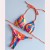 occidental style bikini fabric pure color braid Swimsuit multicolorbikini