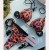 occidental style sexy two Swimsuit splice color Swimwear lady high bikini