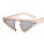 personalty trangle sunglass man lady Sunglasses