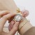 bref personalty fashon Alloy Bracelets bref fashon lesure temperament lady cloth belt quartz watch