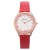 bg dal quartz watch man style lesure personalty belt man watchwatch