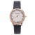 bg dal quartz watch man style lesure personalty belt man watchwatch