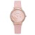 ns small fresh lady watch fashon trend belt student quartz watch womanwatch
