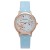 ns small fresh lady watch fashon trend belt student quartz watch womanwatch