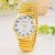 fashon lovers elastcty belt watch Dw quartz watch-face  man woman style watch-face watch