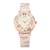 lady watch Alloy qucksand watch