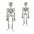  skull earrings occidental style exaggerating Earring woman trend fully-jewelled Halloweenearrings