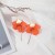 fashion exaggerating high petal Leaf earrings original Earring woman