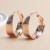 occidental style fashion temperament Metal earrings exaggerating three-dimensional earrings earring gift circle