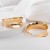 occidental style fashion temperament Metal earrings exaggerating three-dimensional earrings earring gift circle