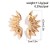occidental style Earring punk wind brief sector ear stud woman all-Purpose flowersearrings
