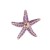 brief personality starfish brooch creative Alloy enamel woman high