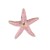 brief personality starfish brooch creative Alloy enamel woman high