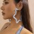 occidental style  retro exaggerating Cowboy print circle ear stud woman  brief twining cirque Earring