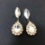 fully-jewelled drop earrings exaggerating occidental style Earring woman Alloy diamond super claw chain banque