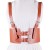  lady belt atmospheric leisure Imitation leather belt  slim ornament Imitation leather