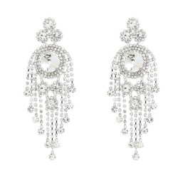 earrings earrings occidental style Earring woman Rhinestone flowers tassel cla..