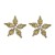 occidental style super Five-pointed star Alloy diamond trend silver earrings temperament high all-Purpose Earrin