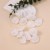 crystal beads tassel Chiffon flowers lady earrings super fresh sweet style Earring