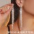 claw chain Rhinestone long style tassel personality earrings ear stud earring occidental style exagge