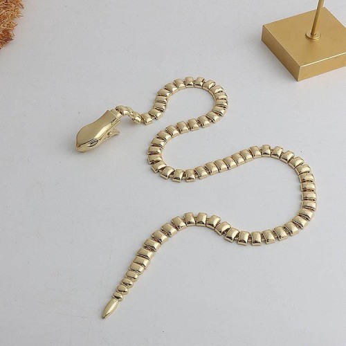  big same style snake necklace samll high wind personality clavicle chain chain