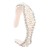 spring imitate Pearl Headband occidental style Headband diamond embed Pearl headheadband