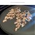 tassel earrings high occidental style exaggerating long style buckle samll unique temperament Earring woman