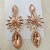 Europe and American earrings